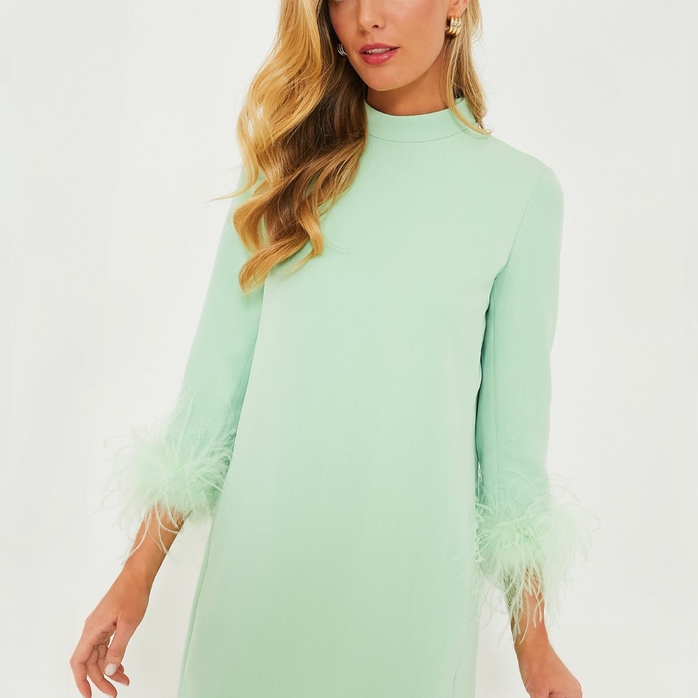 Mint Feather Mod Ellie Dress (TUCKERNUCK)